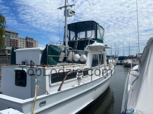 Monk 40 karta techniczna i opinia